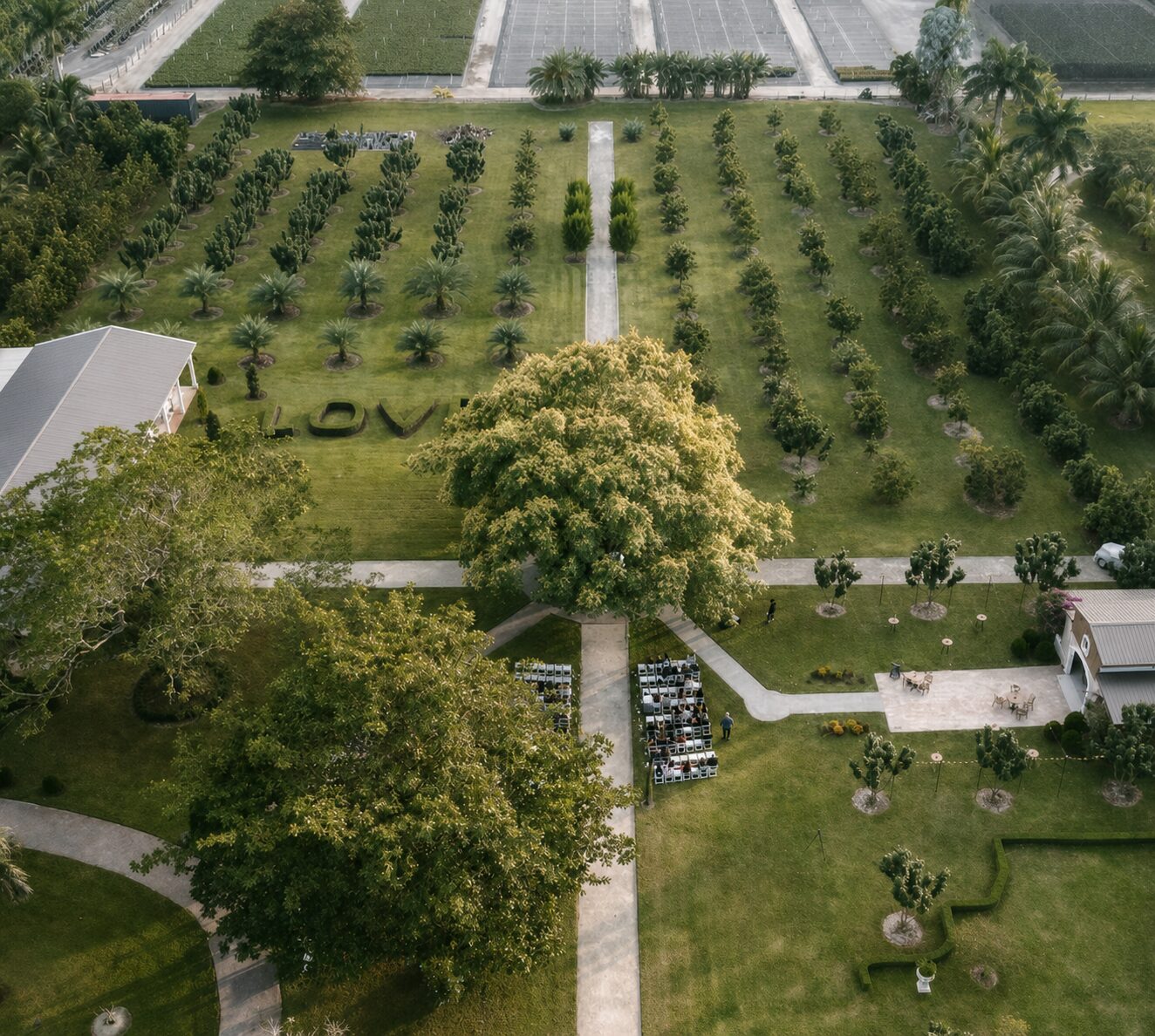 Aerial view of Cinco Farm wedding venue in Miami with landscaped orchard rows