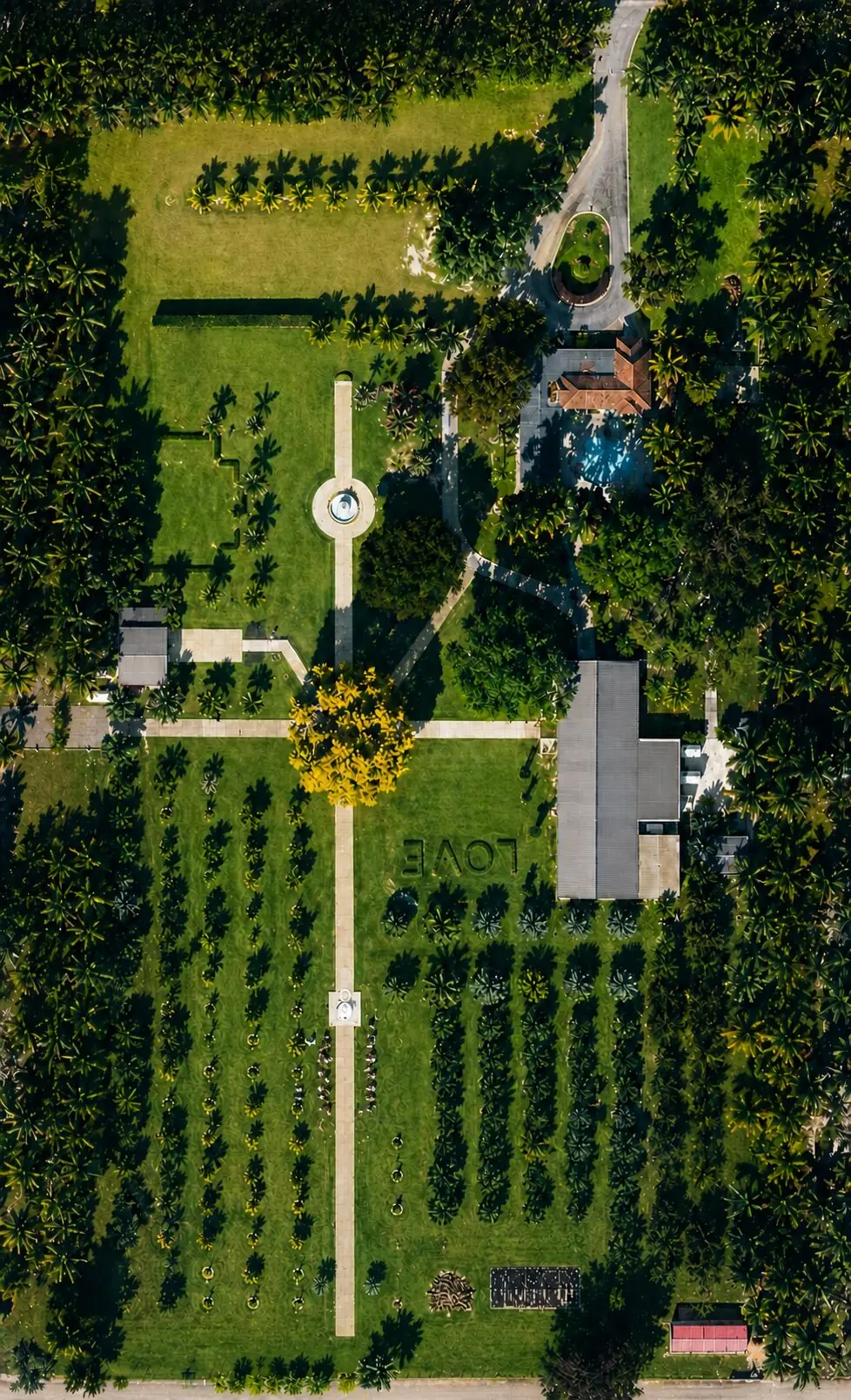 Aerial view of tropical fruit orchard rows behind the LOVE garden at Cinco Farm in Miami