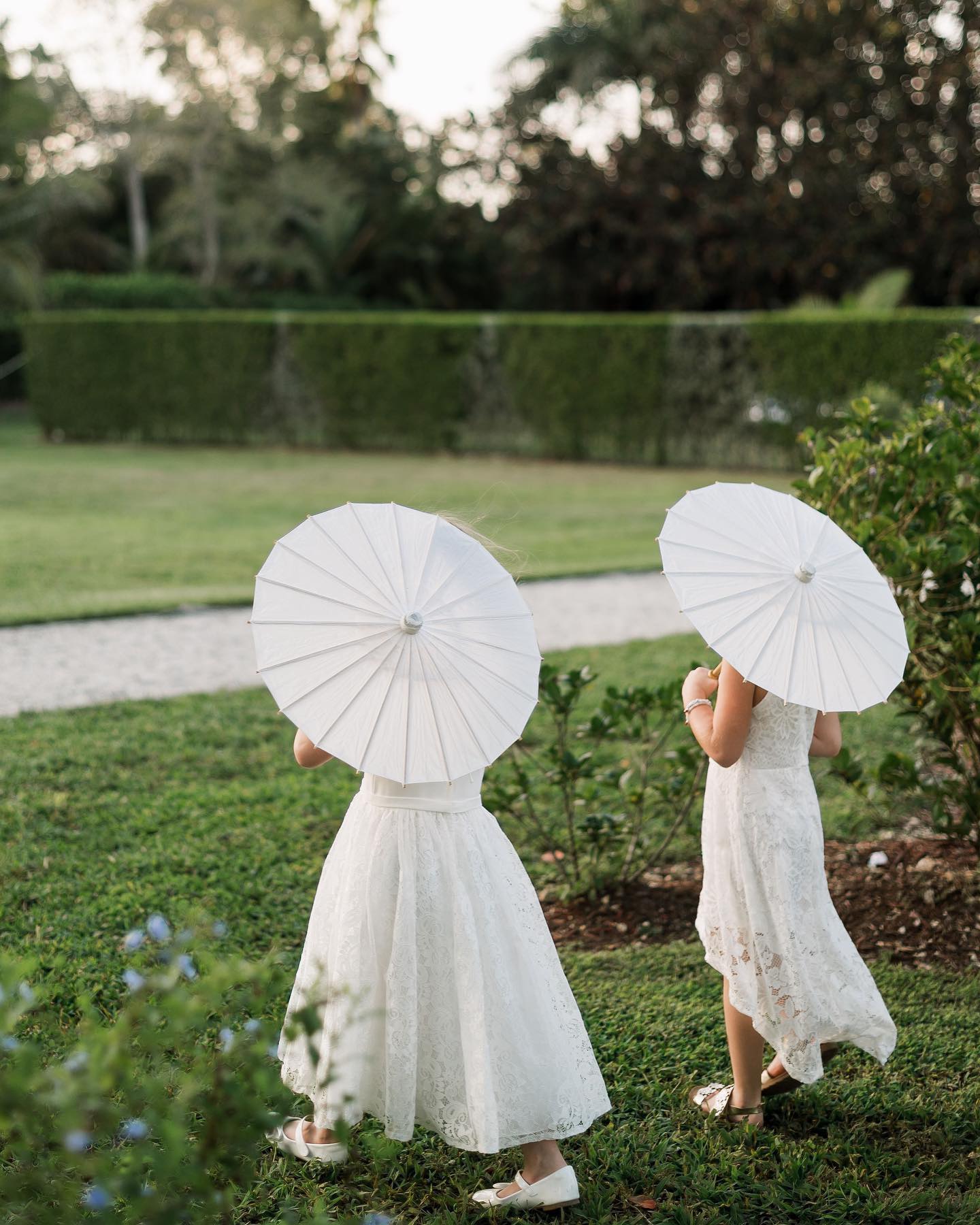 Wedding attendants with parasols in the tropical gardens at Cinco Farm